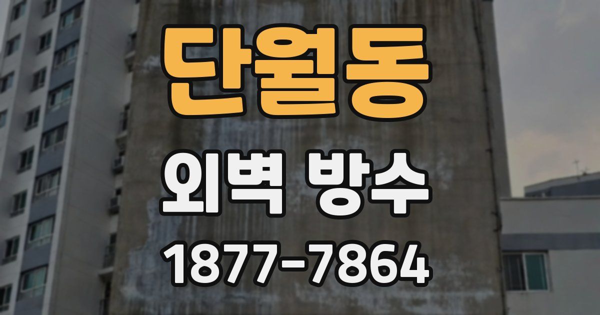 단월동 외벽 방수