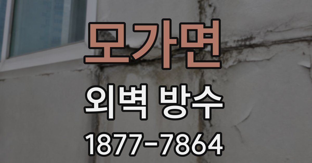 모가면 외벽 방수