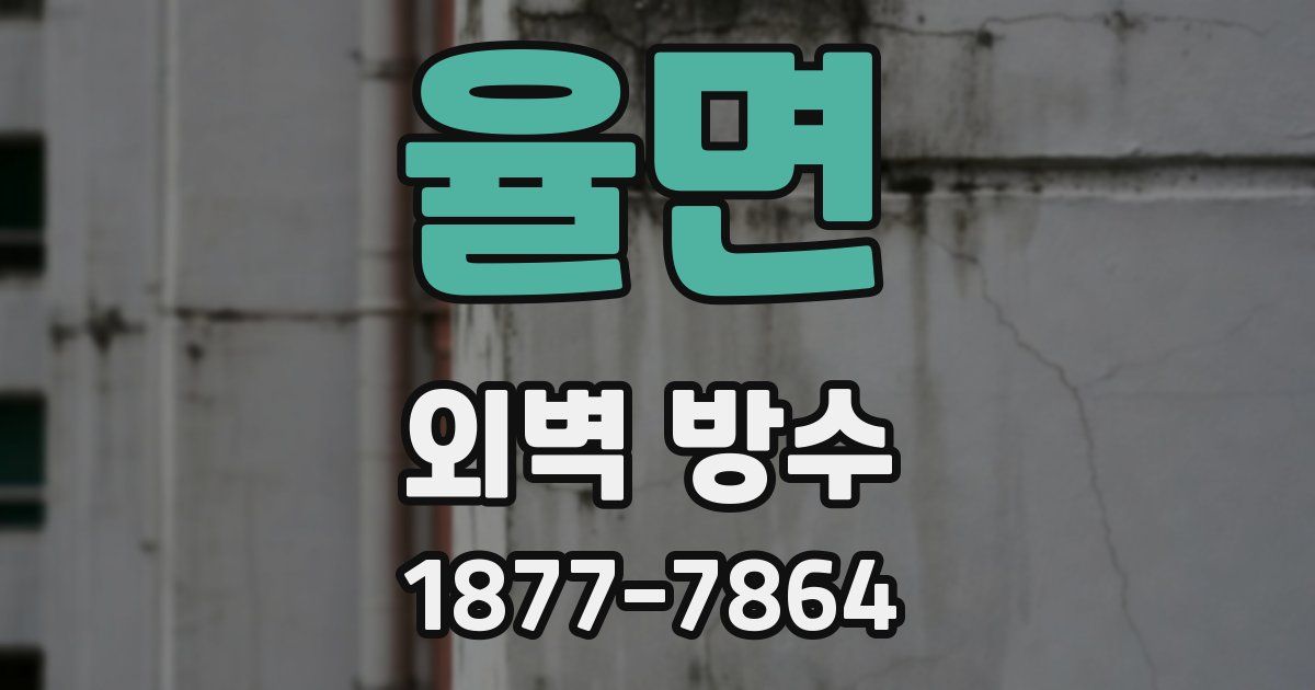 율면 외벽 방수