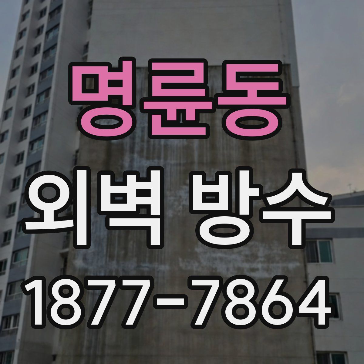 명륜동 외벽 방수