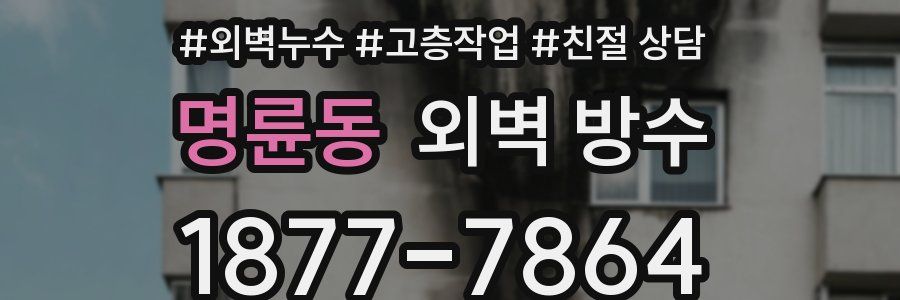 명륜동 외벽 방수
