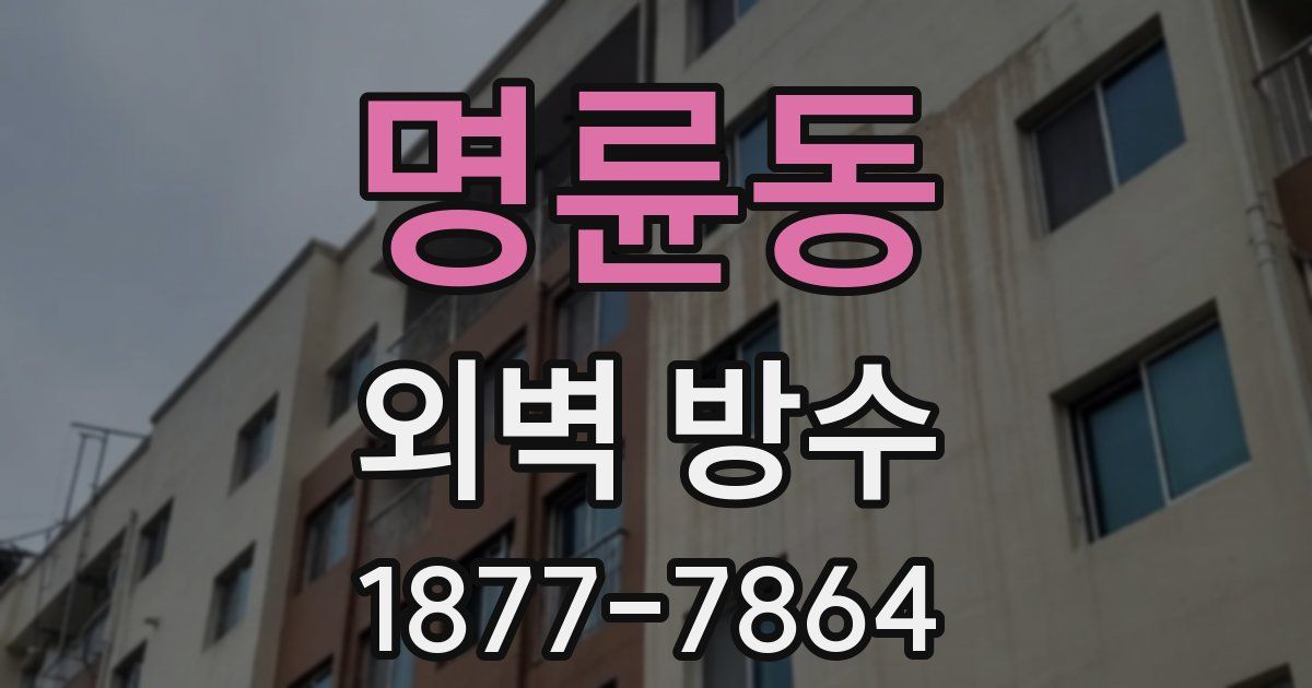 명륜동 외벽 방수