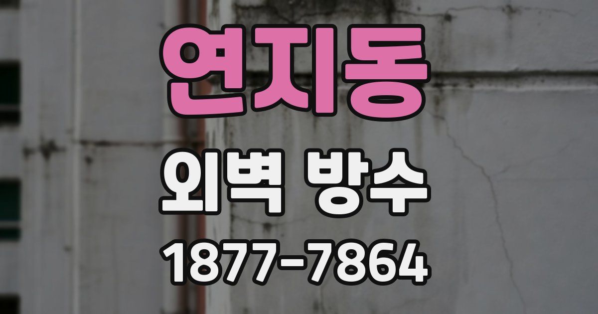 연지동 외벽 방수