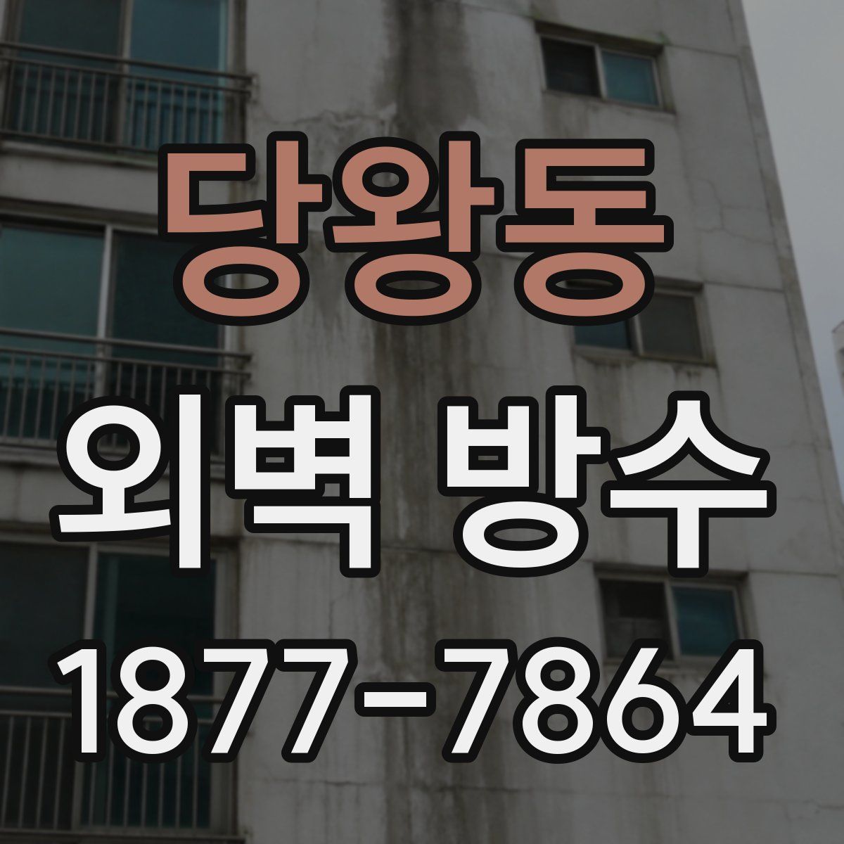 당왕동 외벽 방수