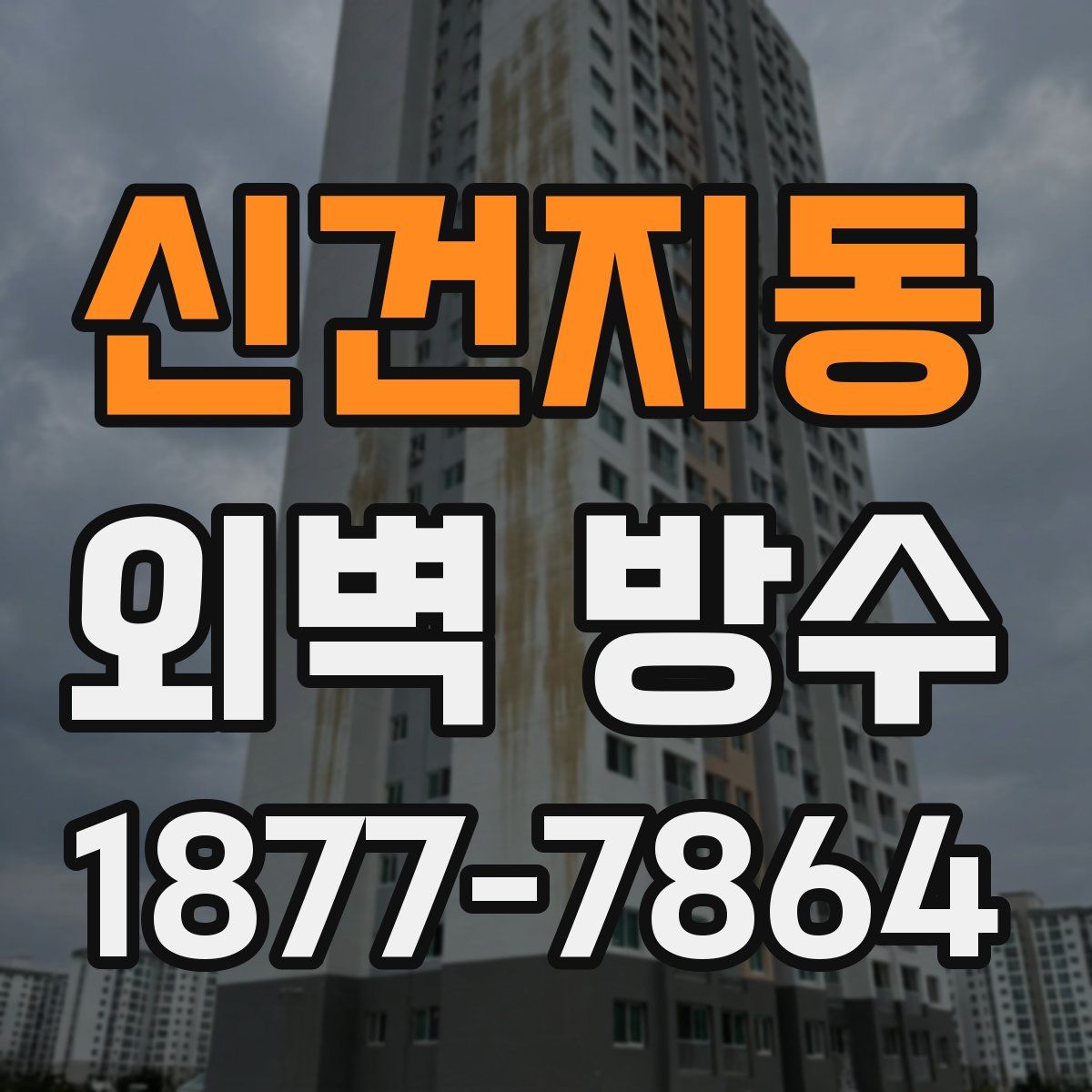신건지동 외벽 방수