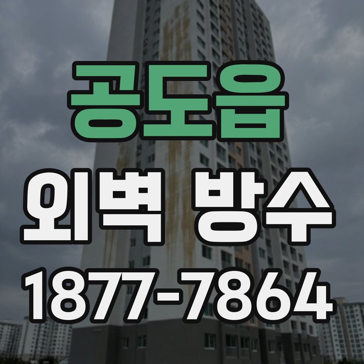 공도읍 외벽 방수
