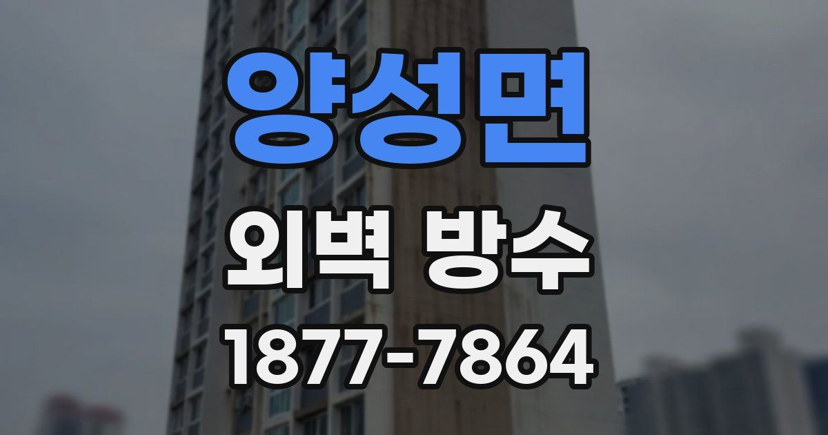 양성면 외벽 방수