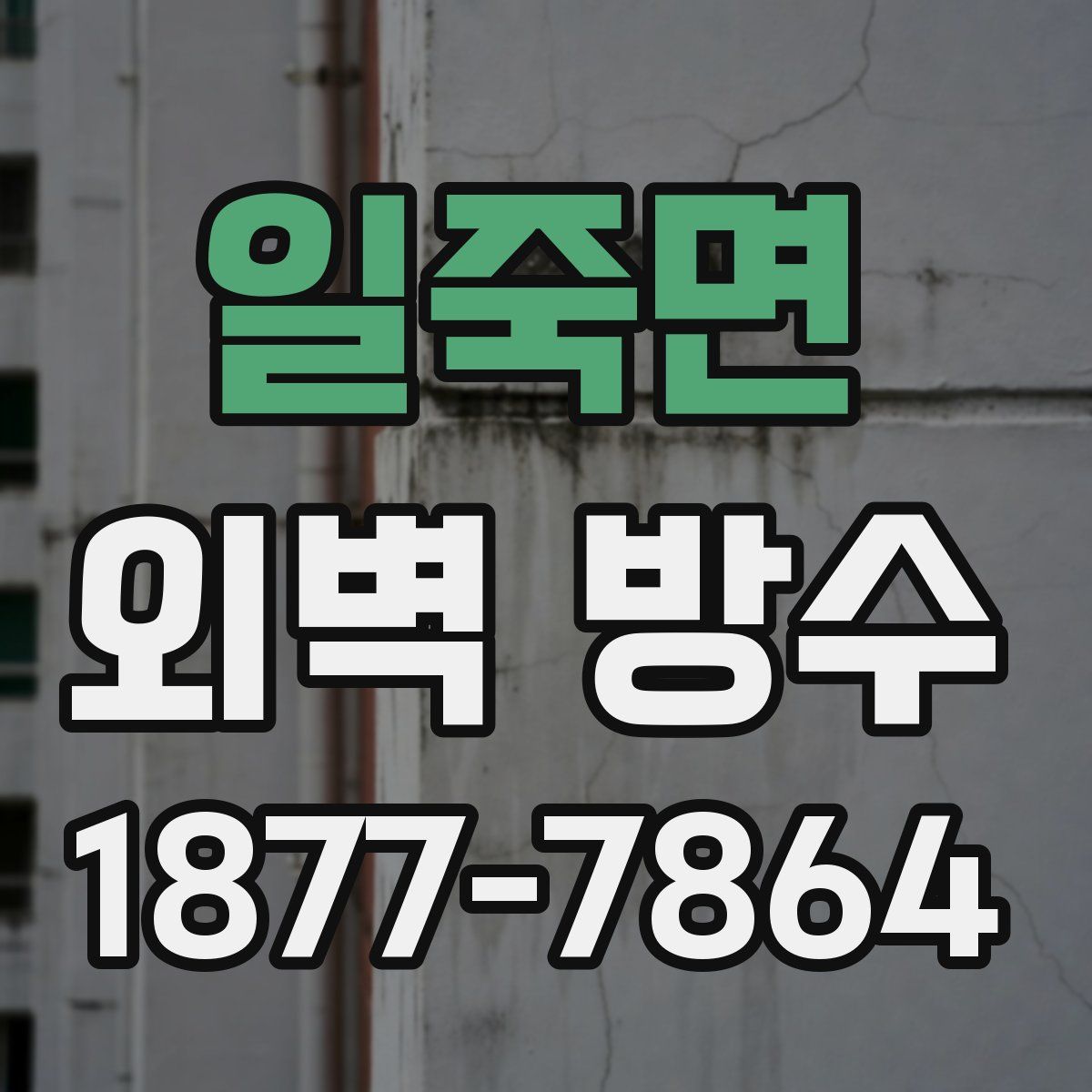 일죽면 외벽 방수