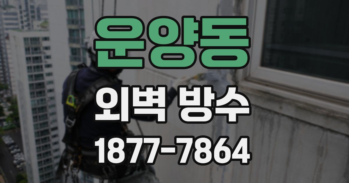 운양동 외벽 방수