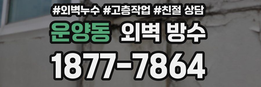 운양동 외벽 방수