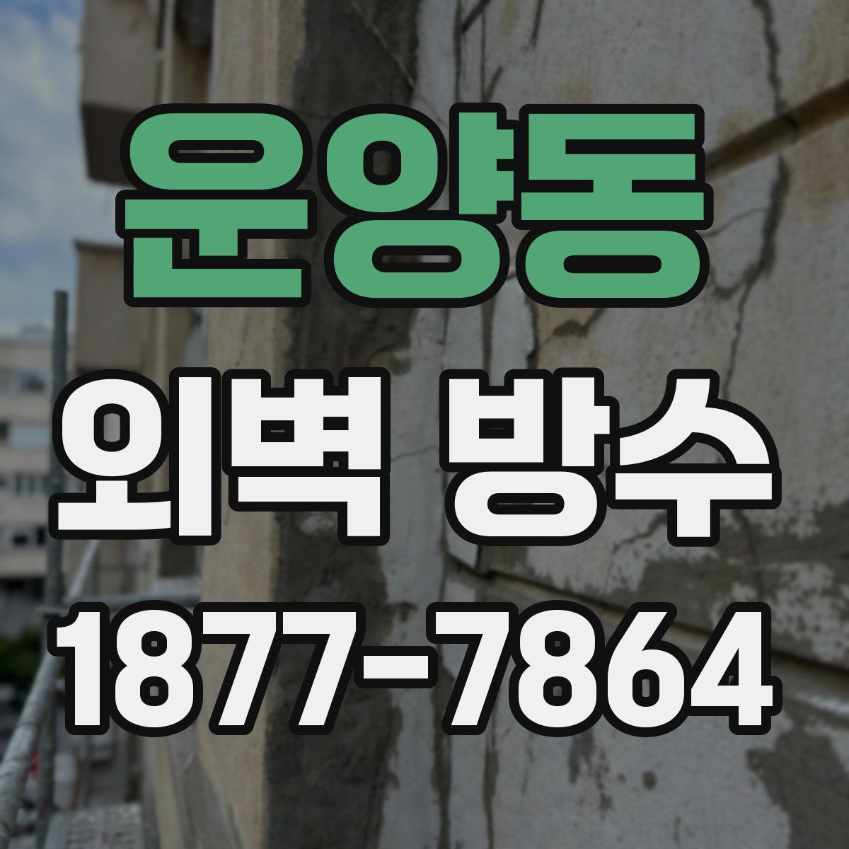 운양동 외벽 방수