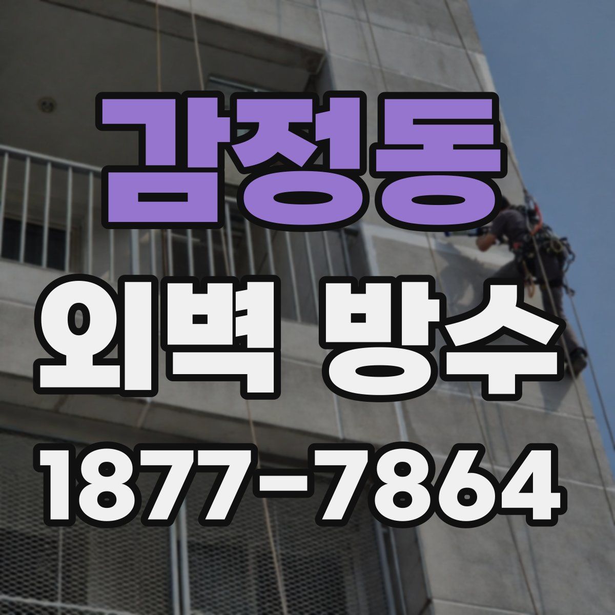 감정동 외벽 방수
