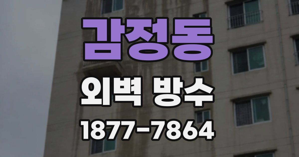 감정동 외벽 방수