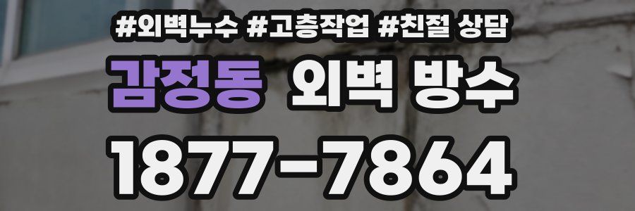 감정동 외벽 방수