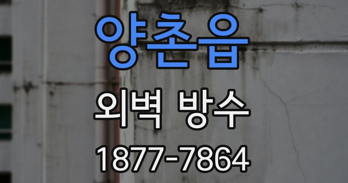 양촌읍 외벽 방수
