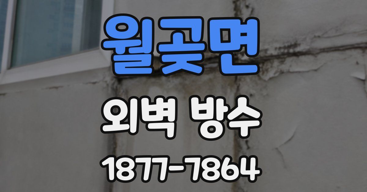 월곶면 외벽 방수