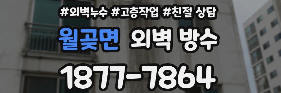월곶면 외벽 방수