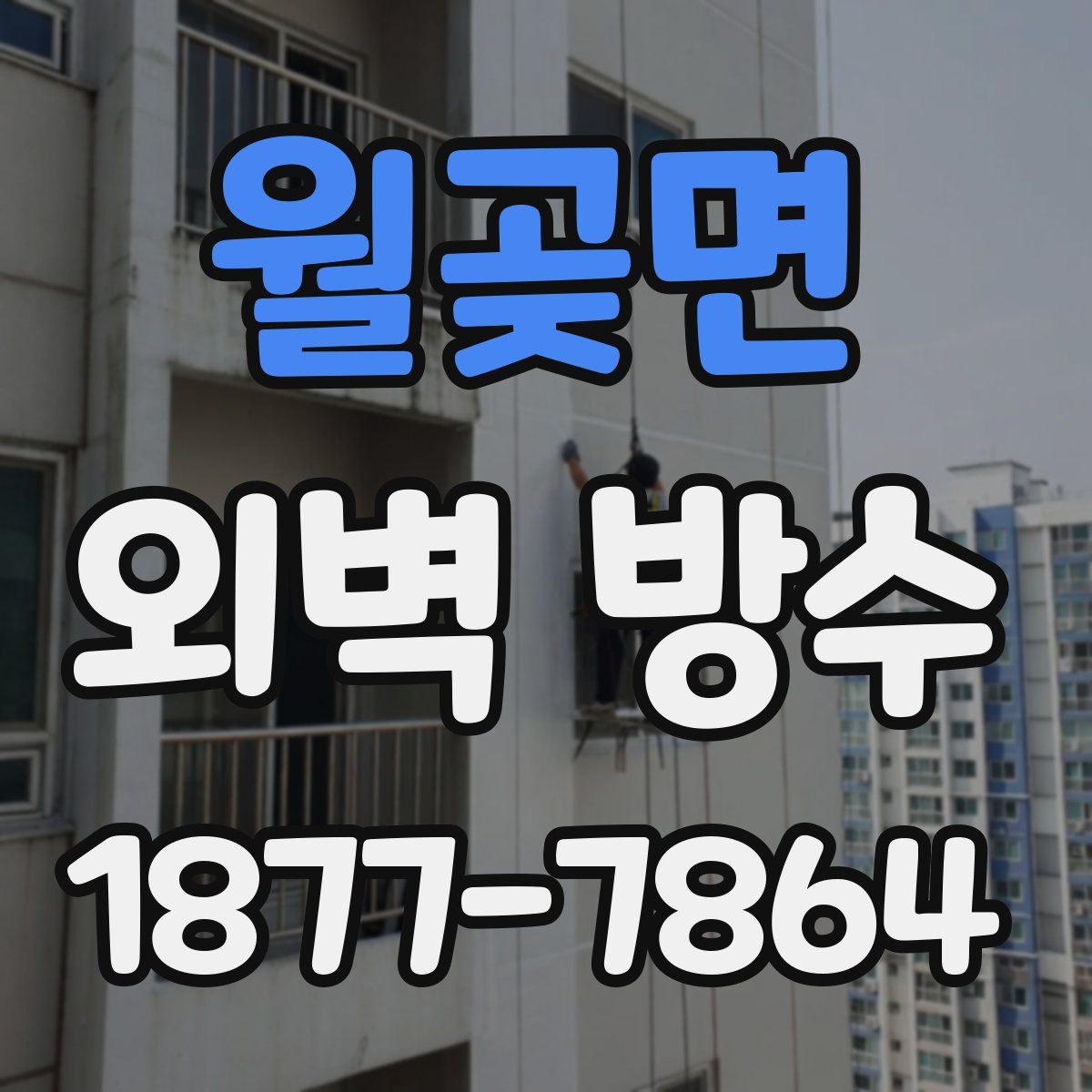 월곶면 외벽 방수