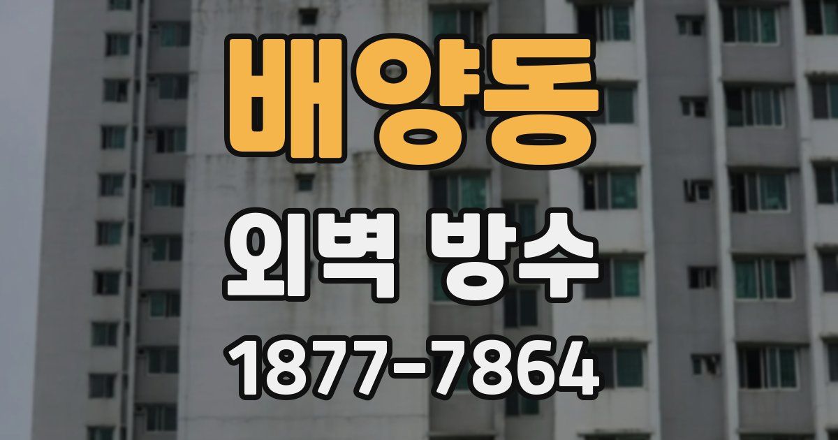 배양동 외벽 방수
