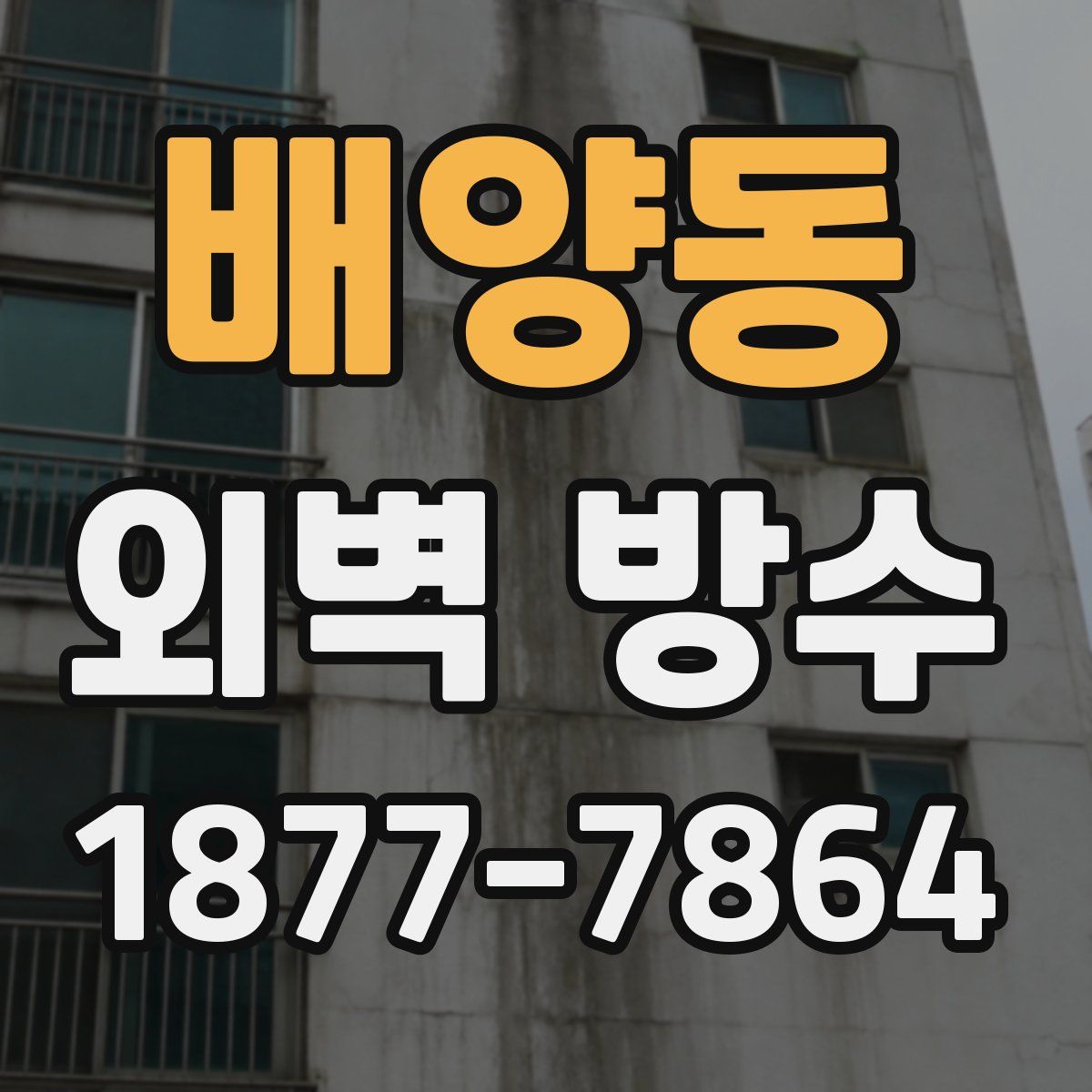 배양동 외벽 방수