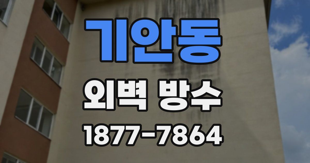기안동 외벽 방수