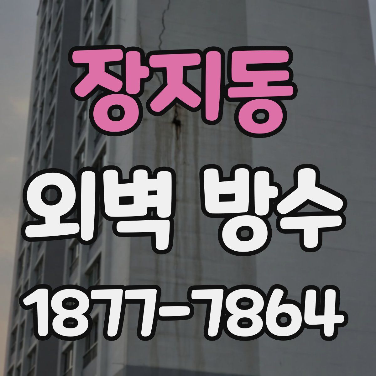 장지동 외벽 방수