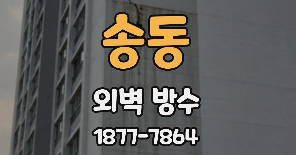 송동 외벽 방수