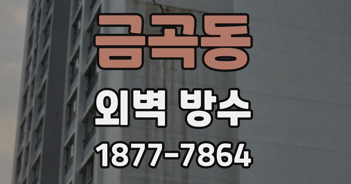 금곡동 외벽 방수