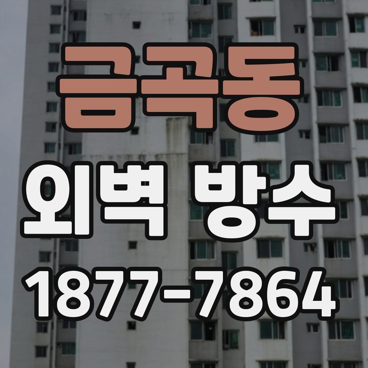 금곡동 외벽 방수