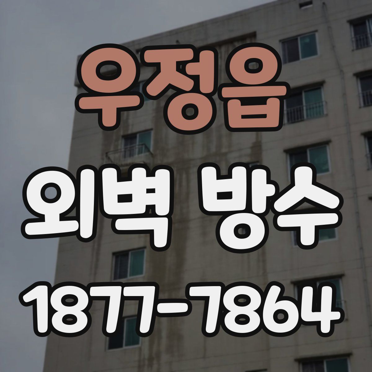 우정읍 외벽 방수