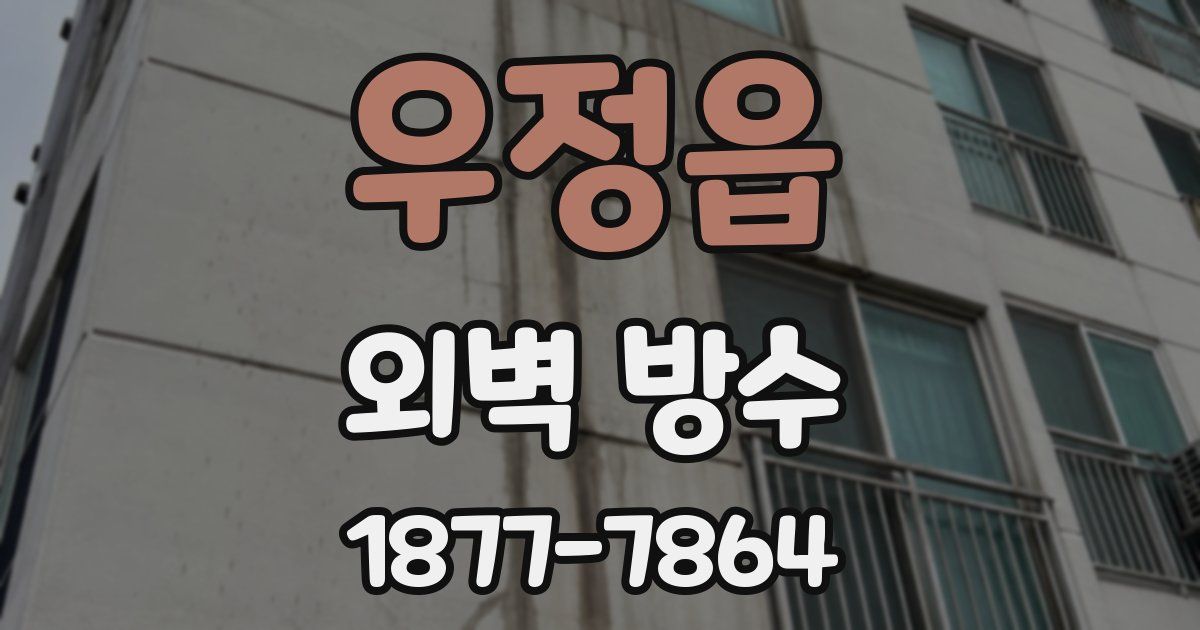 우정읍 외벽 방수