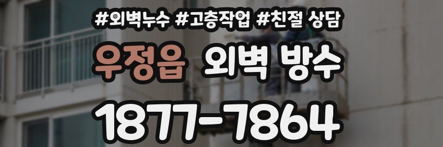 우정읍 외벽 방수