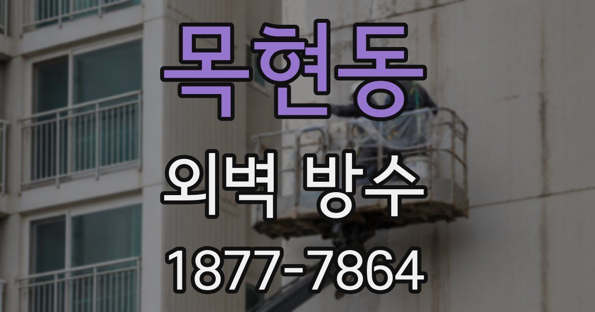 목현동 외벽 방수