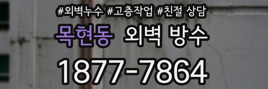 목현동 외벽 방수