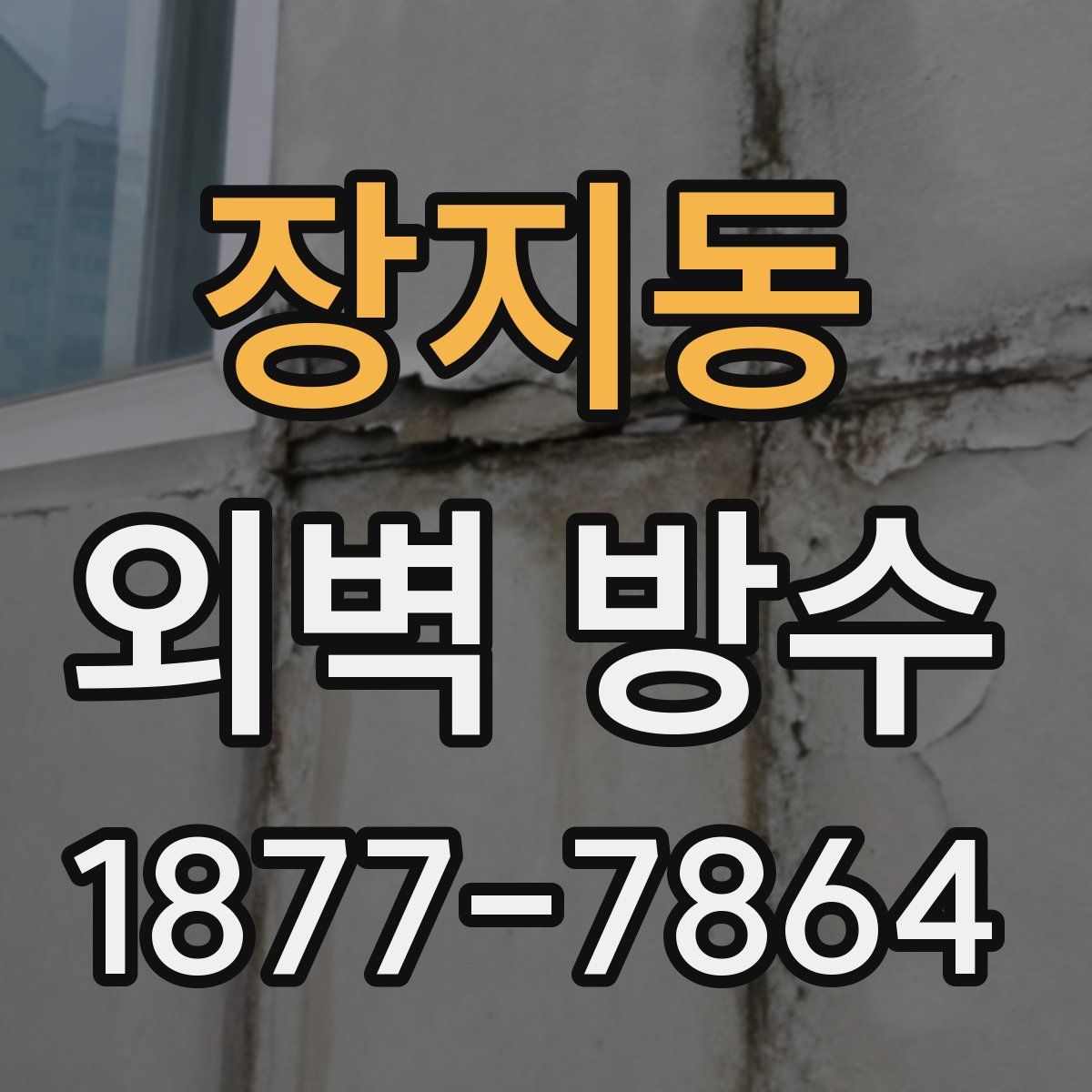 장지동 외벽 방수