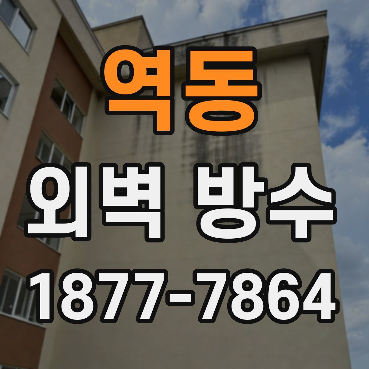 역동 외벽 방수
