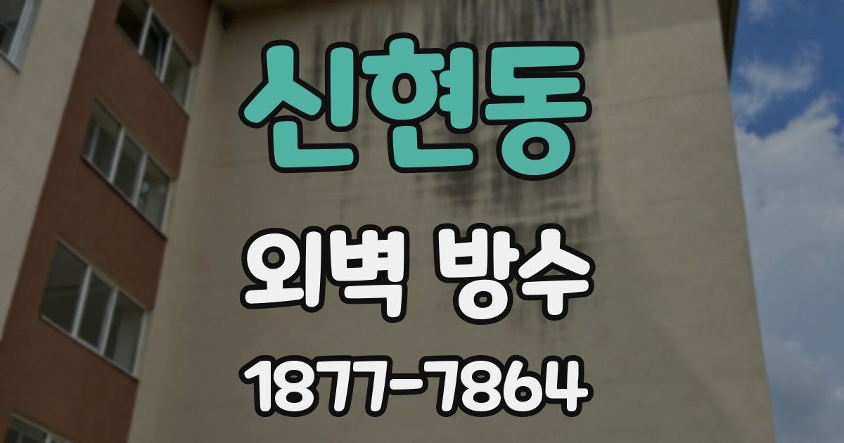 신현동 외벽 방수