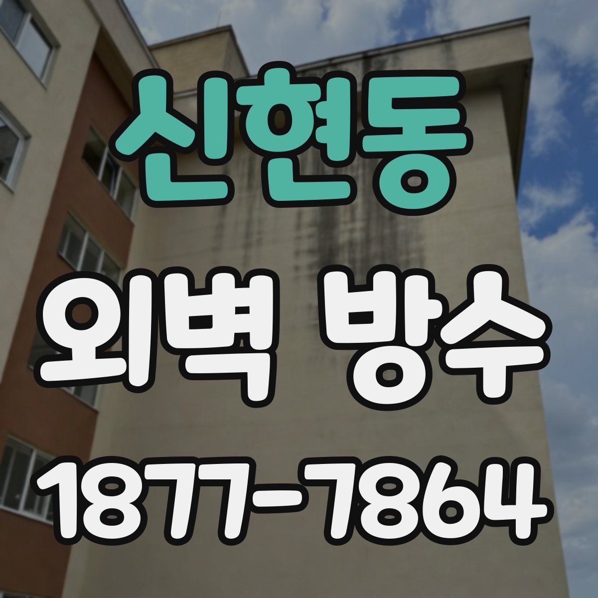 신현동 외벽 방수