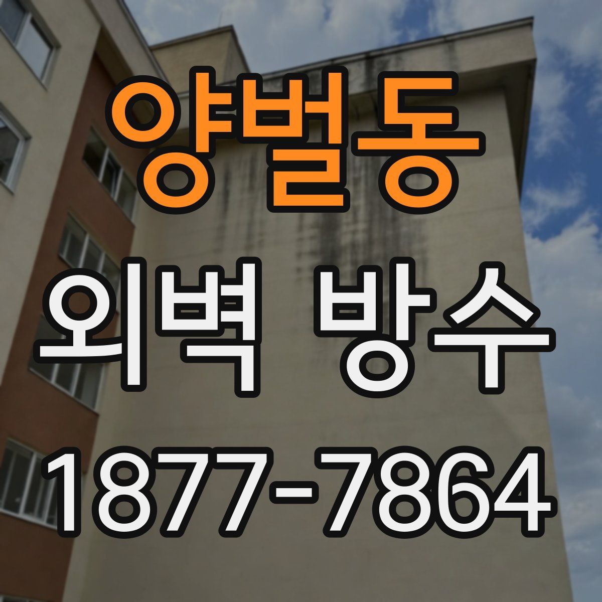 양벌동 외벽 방수