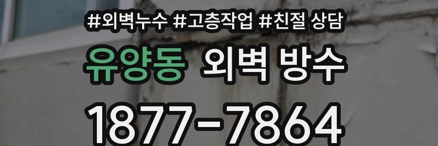 유양동 외벽 방수
