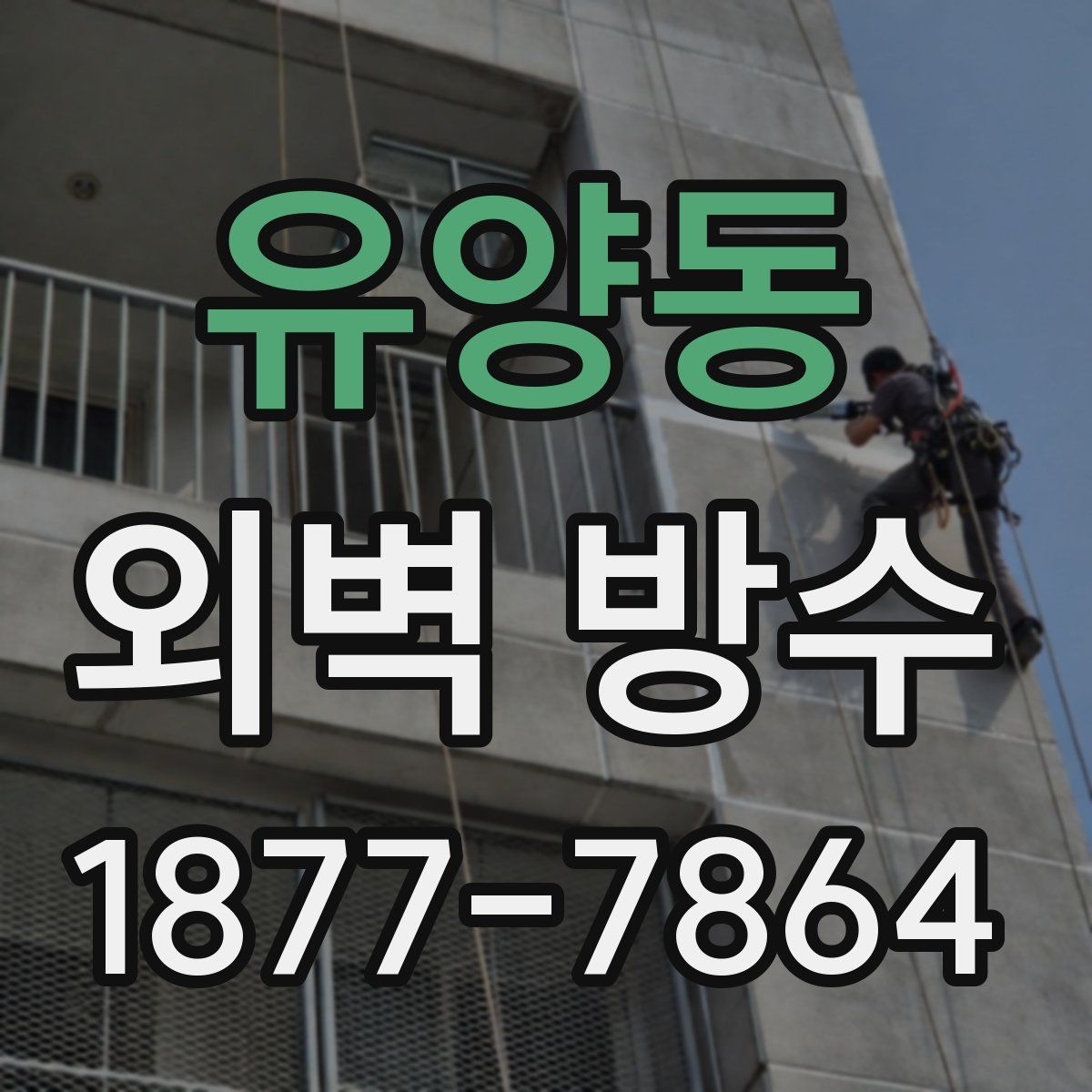 유양동 외벽 방수