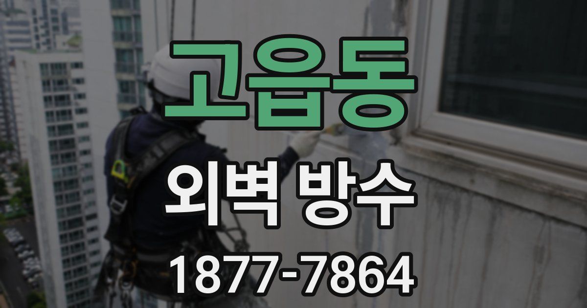 고읍동 외벽 방수