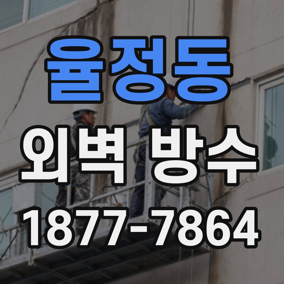 율정동 외벽 방수