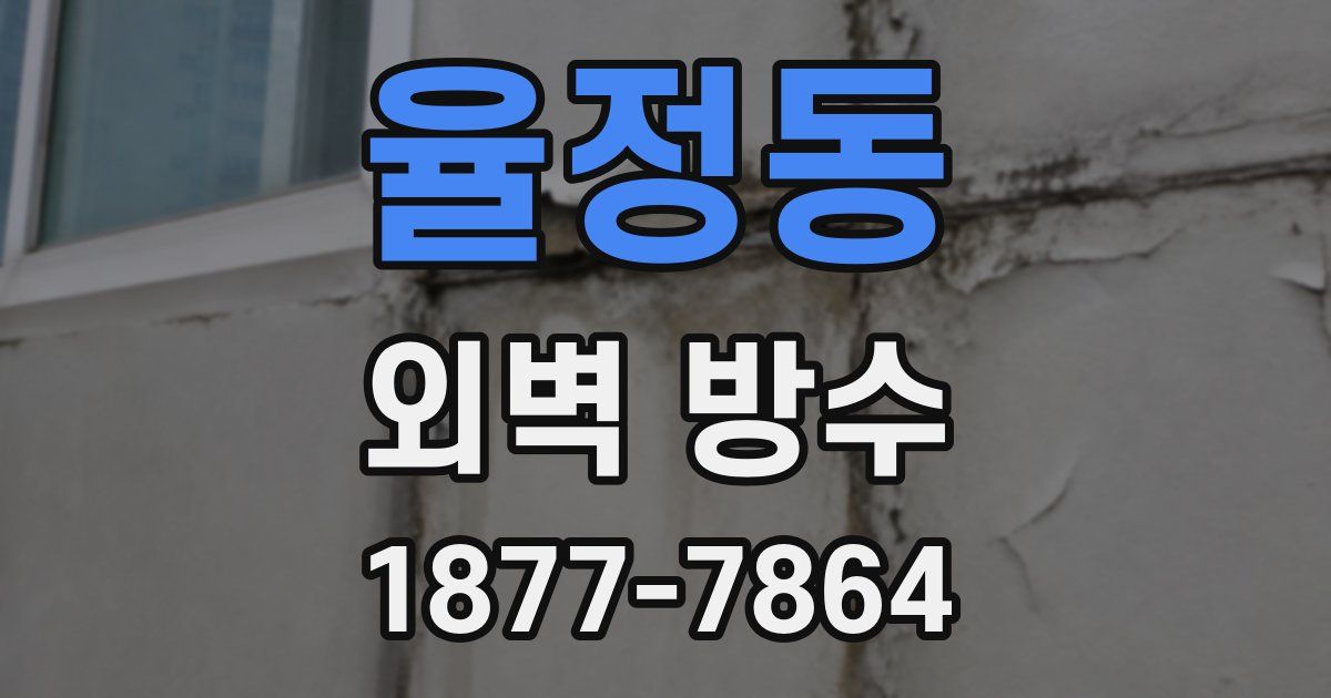 율정동 외벽 방수