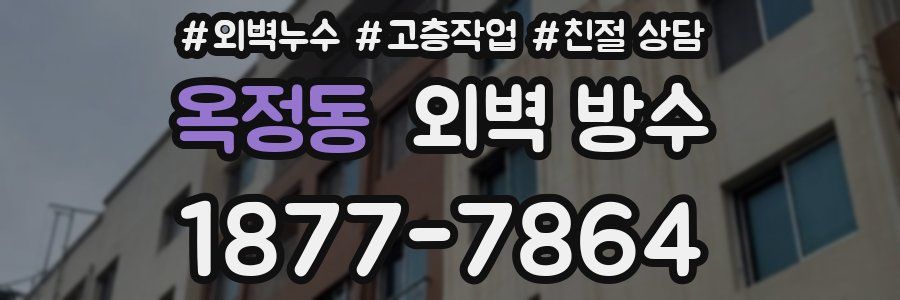 옥정동 외벽 방수