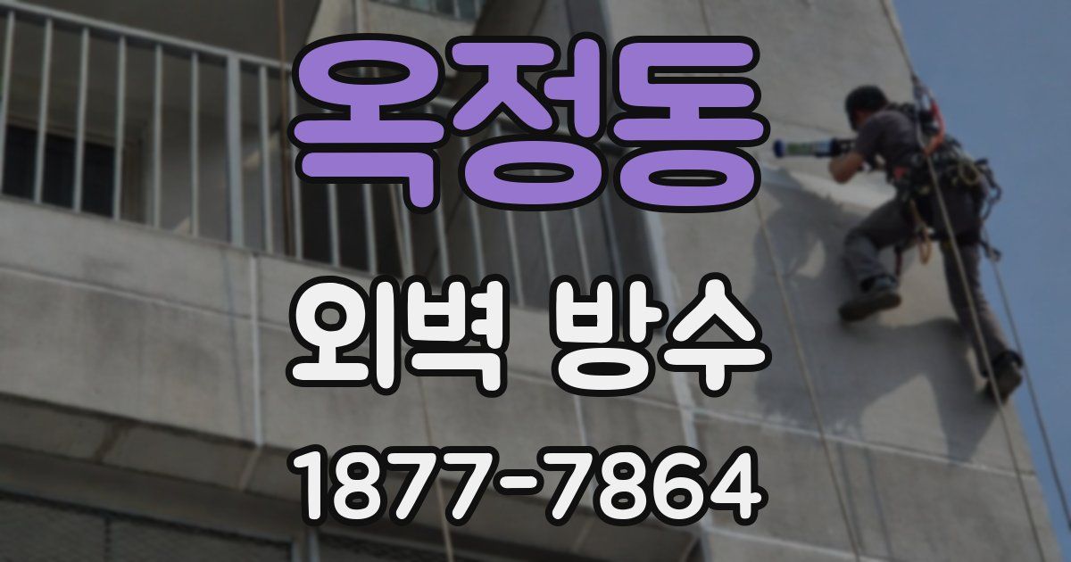 옥정동 외벽 방수