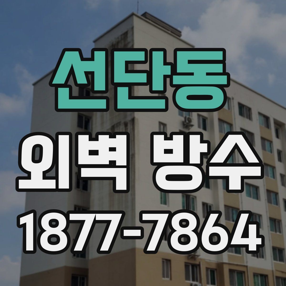 선단동 외벽 방수 방법별 차이와 선택 기준