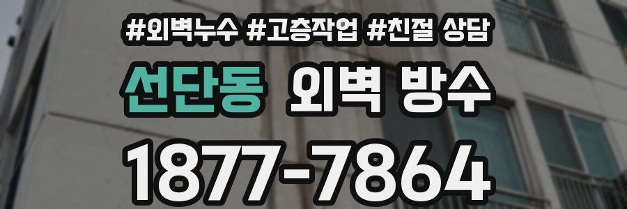 선단동 외벽 방수