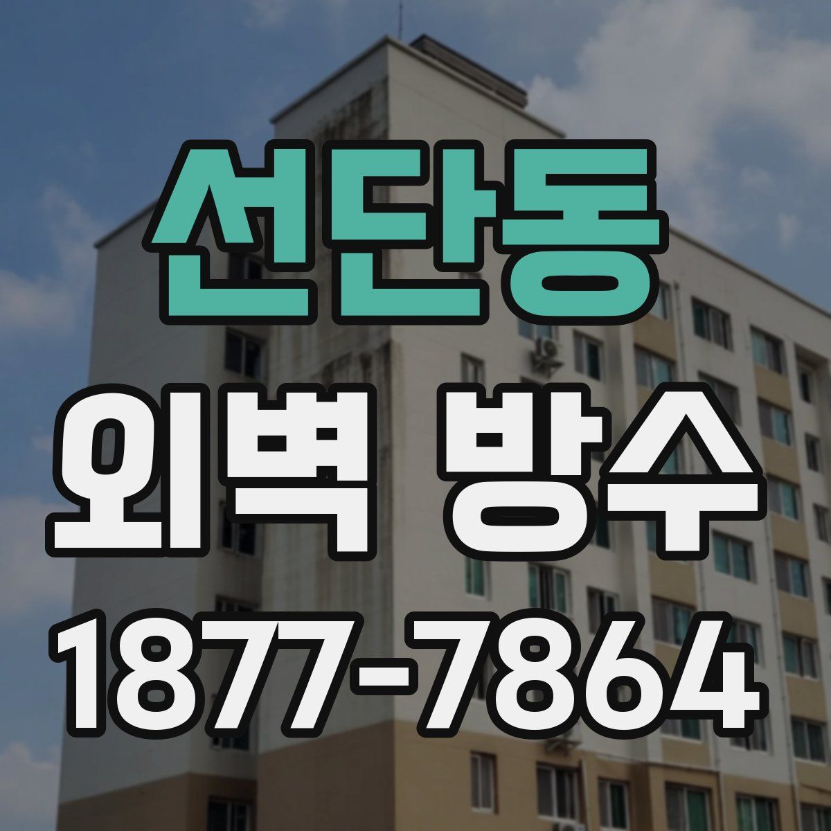선단동 외벽 방수