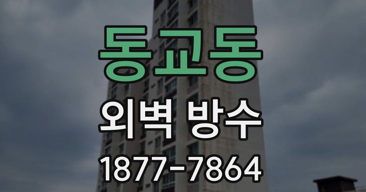 동교동 외벽 방수